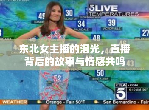 東北女主播的淚光，直播背后的故事與情感共鳴