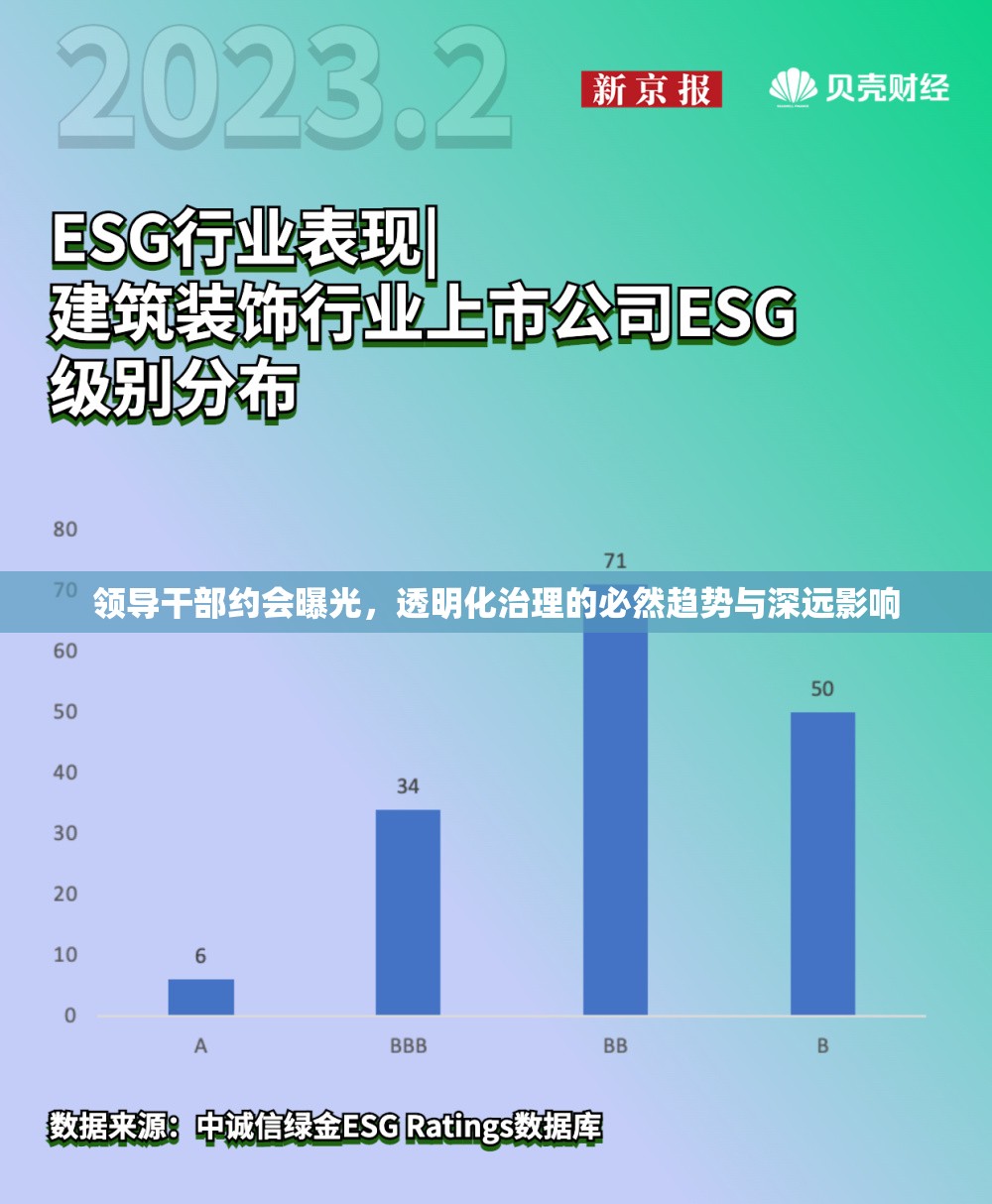 領(lǐng)導(dǎo)干部約會曝光，透明化治理的必然趨勢與深遠(yuǎn)影響