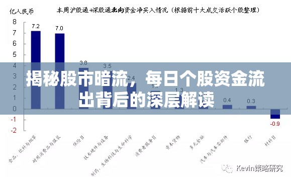 揭秘股市暗流，每日個(gè)股資金流出背后的深層解讀