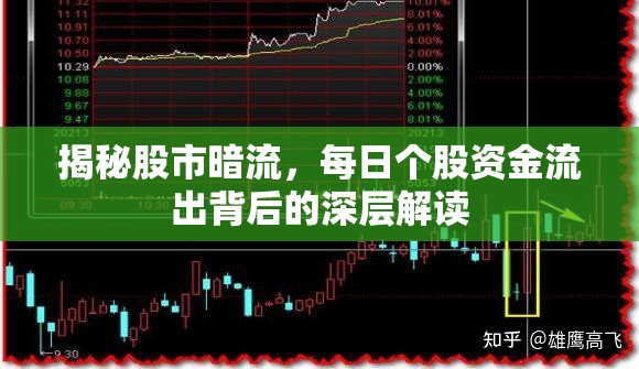 揭秘股市暗流，每日個(gè)股資金流出背后的深層解讀