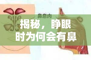 揭秘，睜眼時(shí)為何會(huì)有鼻涕流出？