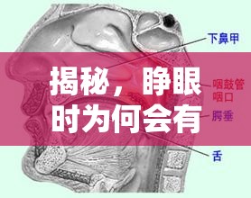 揭秘，睜眼時(shí)為何會(huì)有鼻涕流出？