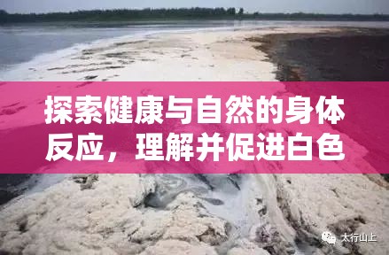 探索健康與自然的身體反應(yīng)，理解并促進(jìn)白色液體自然流出的原因與方式