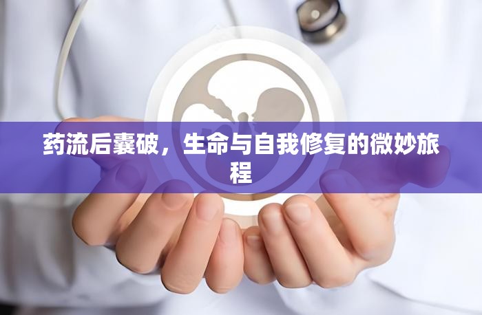 藥流后囊破，生命與自我修復(fù)的微妙旅程