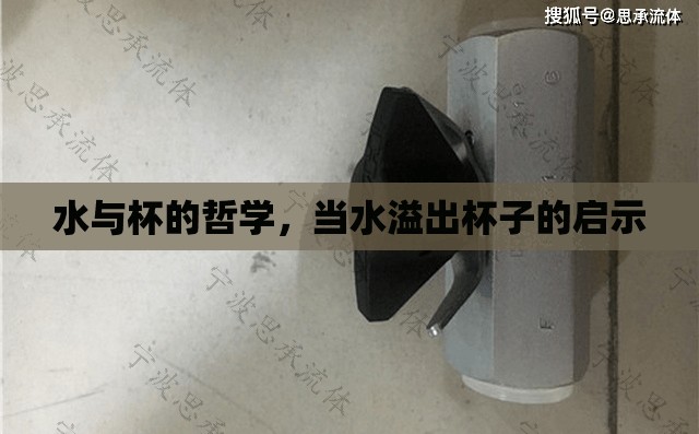 水與杯的哲學，當水溢出杯子的啟示