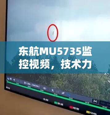 東航MU5735監(jiān)控視頻，技術(shù)力量與人性光輝的交織
