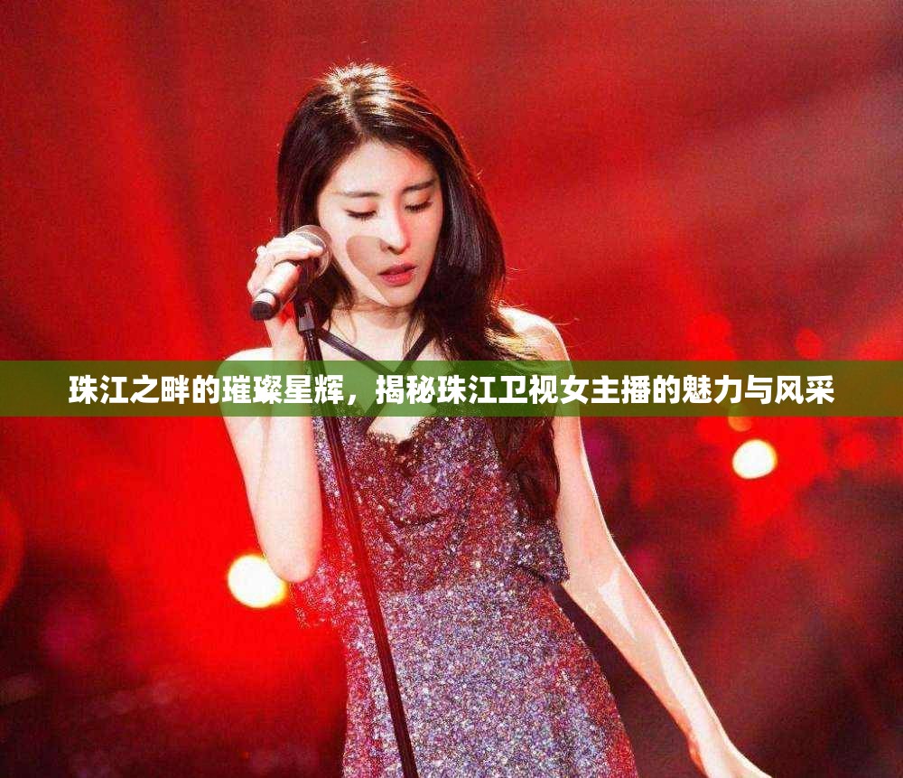珠江之畔的璀璨星輝，揭秘珠江衛(wèi)視女主播的魅力與風(fēng)采
