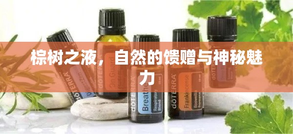 棕樹之液，自然的饋贈與神秘魅力