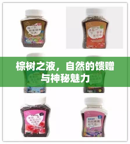 棕樹之液，自然的饋贈與神秘魅力