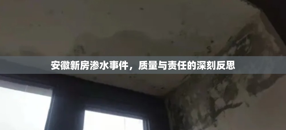 安徽新房滲水事件，質(zhì)量與責(zé)任的深刻反思