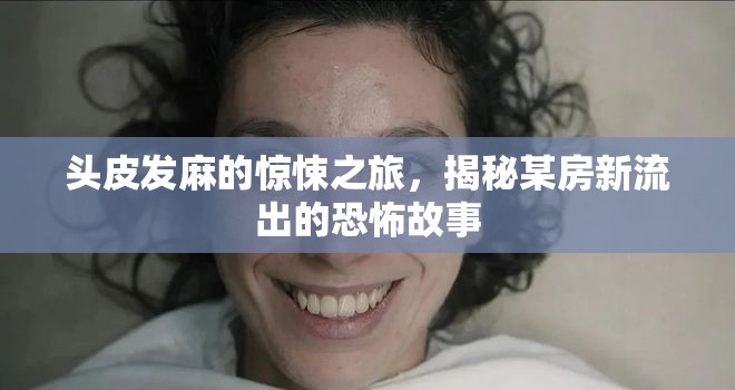 頭皮發(fā)麻的驚悚之旅，揭秘某房新流出的恐怖故事