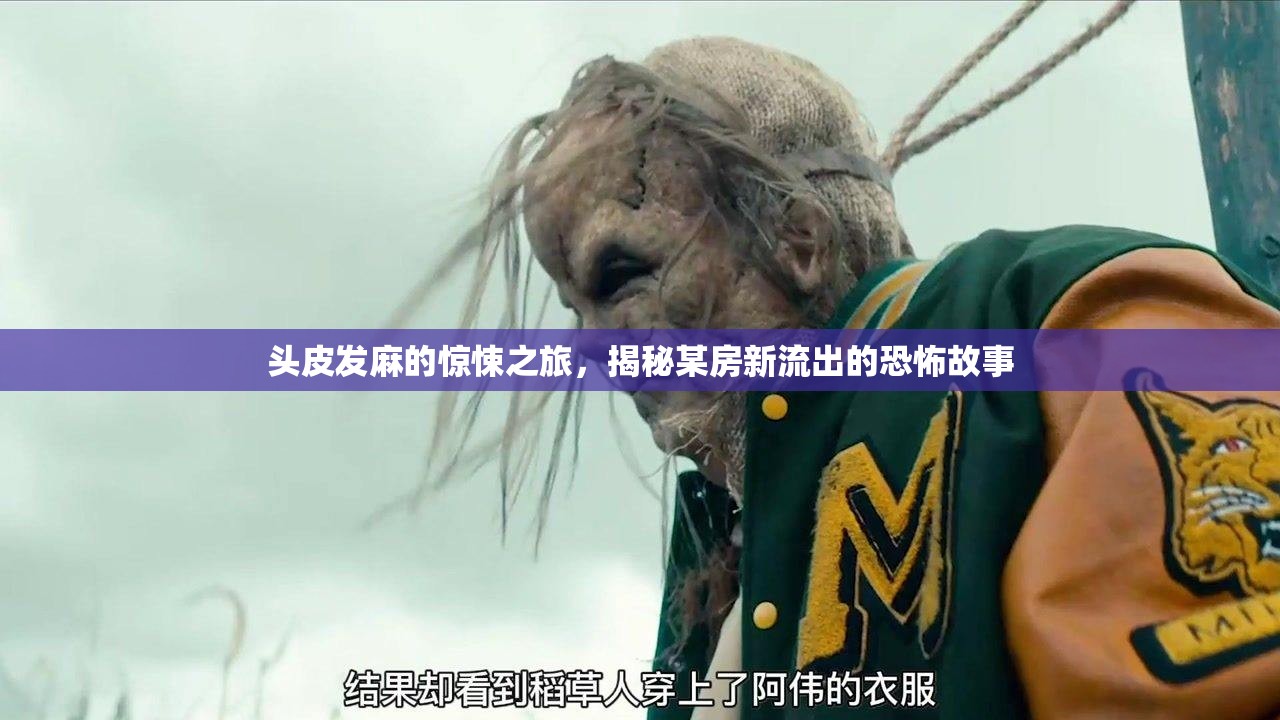 頭皮發(fā)麻的驚悚之旅，揭秘某房新流出的恐怖故事