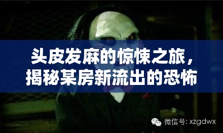 頭皮發(fā)麻的驚悚之旅，揭秘某房新流出的恐怖故事
