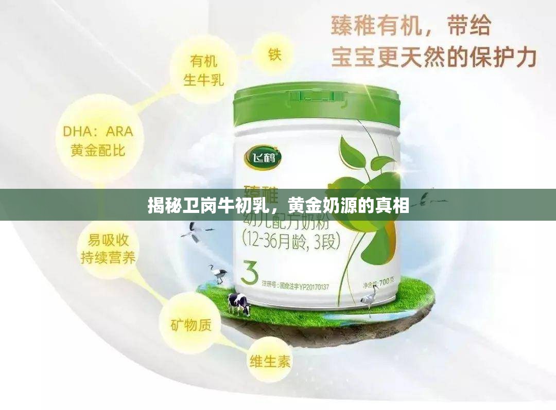 揭秘衛(wèi)崗牛初乳，黃金奶源的真相