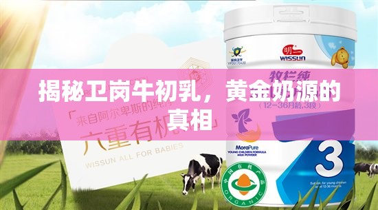 揭秘衛(wèi)崗牛初乳，黃金奶源的真相