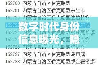 數(shù)字時代身份信息曝光，隱憂與應(yīng)對策略