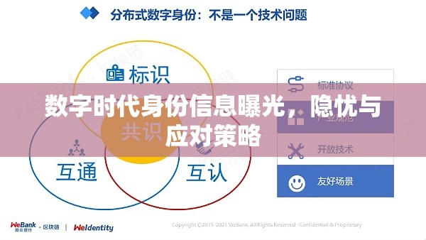 數(shù)字時代身份信息曝光，隱憂與應(yīng)對策略