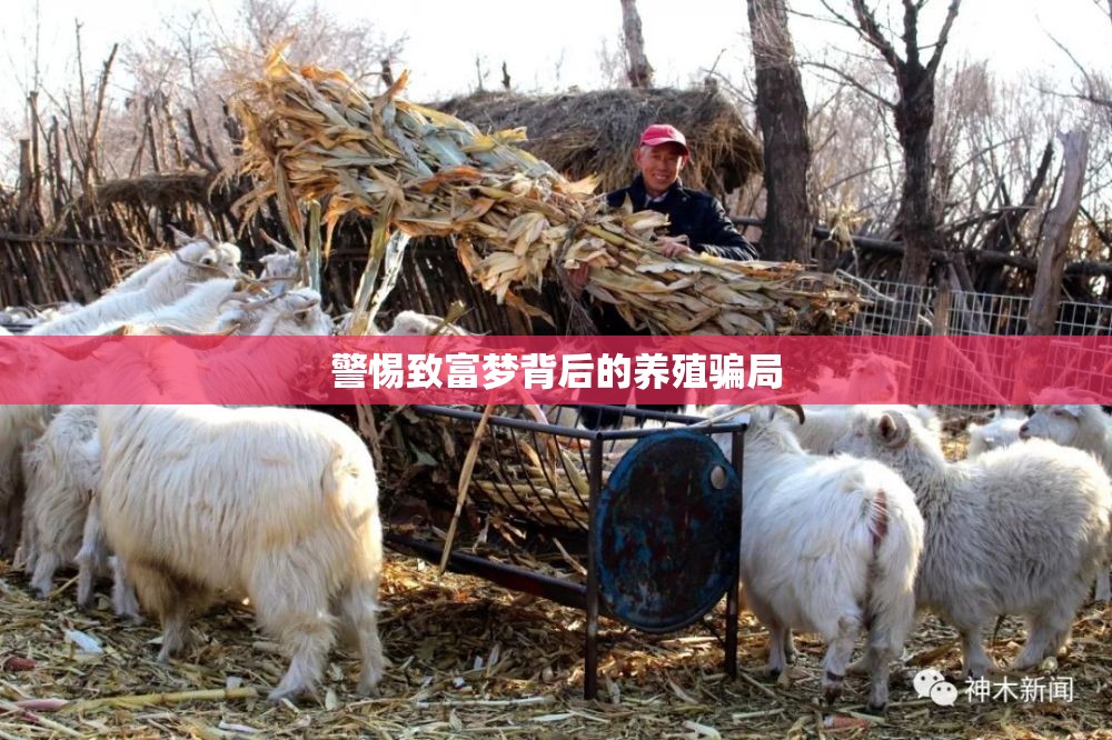 警惕致富夢背后的養(yǎng)殖騙局