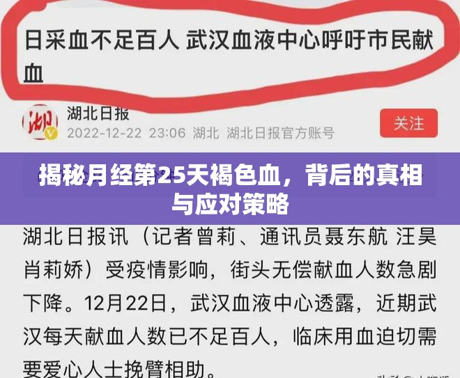 揭秘月經(jīng)第25天褐色血，背后的真相與應(yīng)對(duì)策略