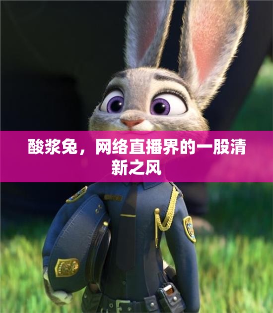 酸漿兔，網(wǎng)絡(luò)直播界的一股清新之風(fēng)