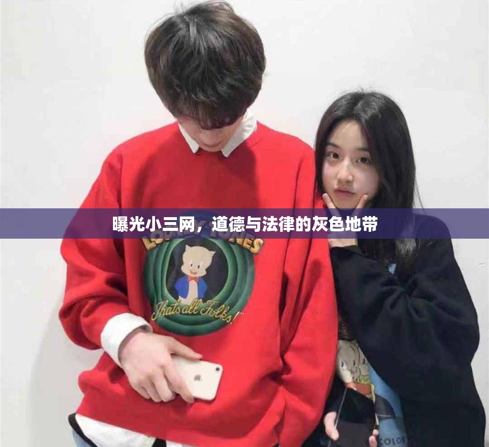 曝光小三網(wǎng)，道德與法律的灰色地帶