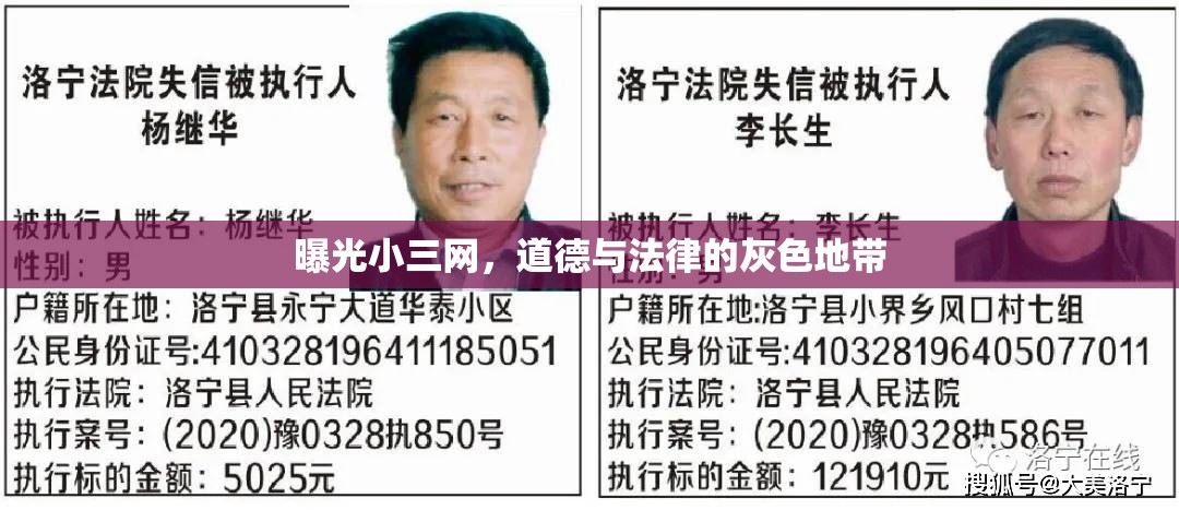 曝光小三網(wǎng)，道德與法律的灰色地帶