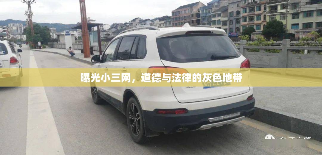 曝光小三網(wǎng)，道德與法律的灰色地帶