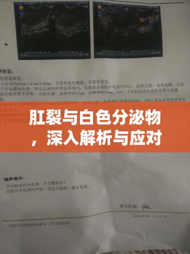 肛裂與白色分泌物，深入解析與應(yīng)對(duì)策略