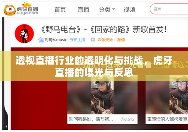 透視直播行業(yè)的透明化與挑戰(zhàn)，虎牙直播的曝光與反思