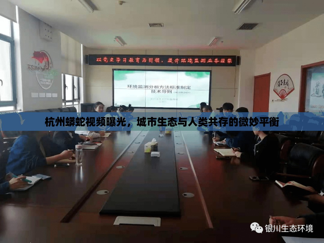 杭州蟒蛇視頻曝光，城市生態(tài)與人類共存的微妙平衡