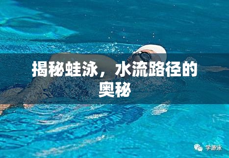 揭秘蛙泳，水流路徑的奧秘
