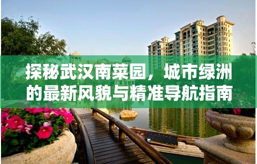 探秘武漢南菜園，城市綠洲的最新風(fēng)貌與精準(zhǔn)導(dǎo)航指南