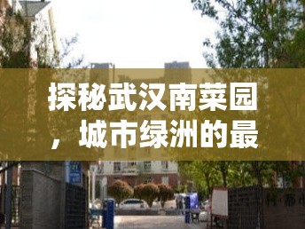 探秘武漢南菜園，城市綠洲的最新風(fēng)貌與精準(zhǔn)導(dǎo)航指南