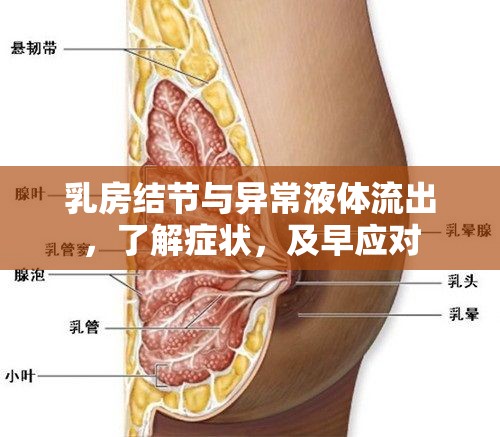 乳房結(jié)節(jié)與異常液體流出，了解癥狀，及早應(yīng)對(duì)