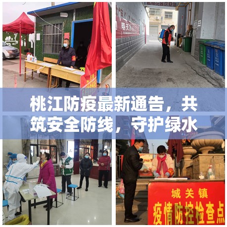 桃江防疫最新通告，共筑安全防線，守護綠水青山