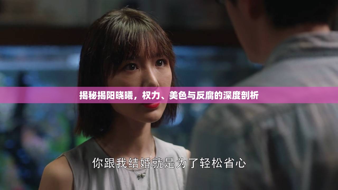 揭秘揭陽曉曦，權(quán)力、美色與反腐的深度剖析
