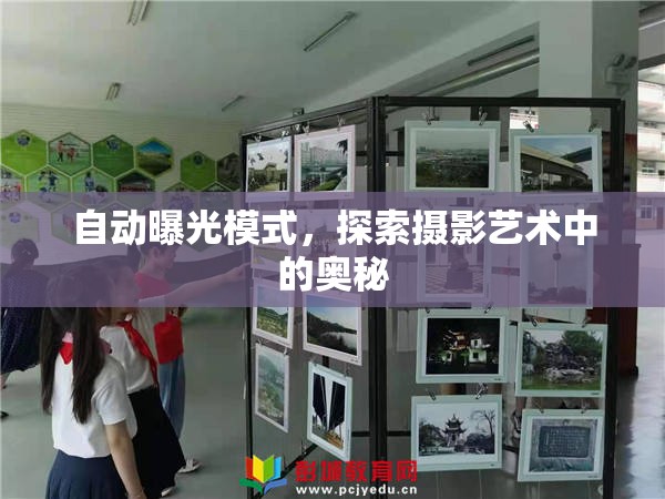 自動曝光模式，探索攝影藝術(shù)中的奧秘