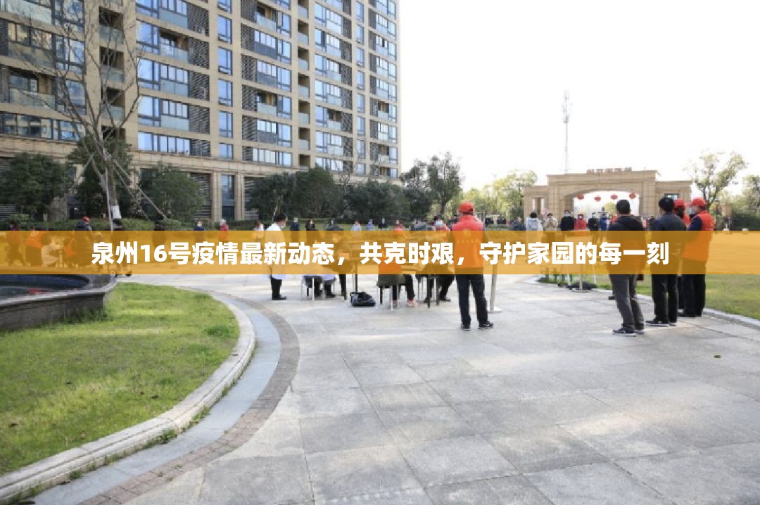 泉州16號(hào)疫情最新動(dòng)態(tài)，共克時(shí)艱，守護(hù)家園的每一刻
