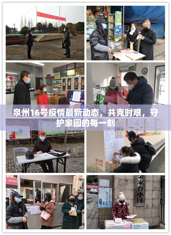泉州16號(hào)疫情最新動(dòng)態(tài)，共克時(shí)艱，守護(hù)家園的每一刻