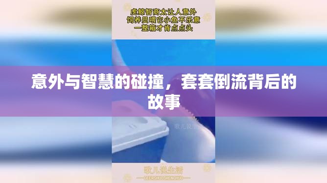 意外與智慧的碰撞，套套倒流背后的故事