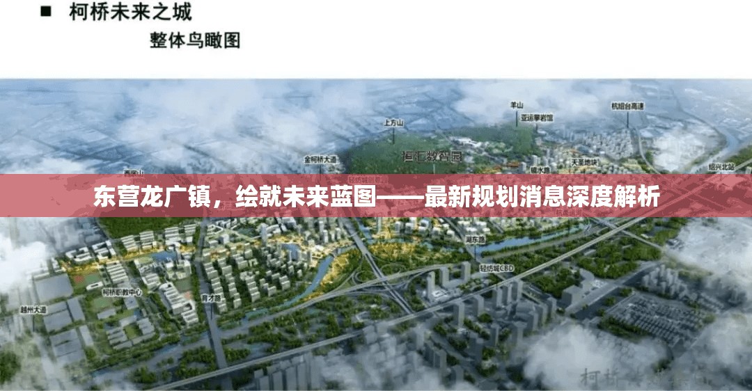東營龍廣鎮(zhèn)，繪就未來藍(lán)圖——最新規(guī)劃消息深度解析