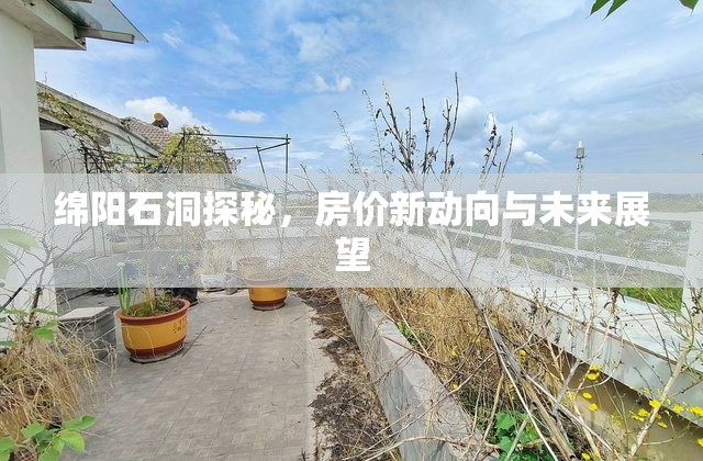 綿陽石洞探秘，房價新動向與未來展望
