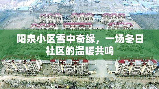 陽泉小區(qū)雪中奇緣，一場冬日社區(qū)的溫暖共鳴