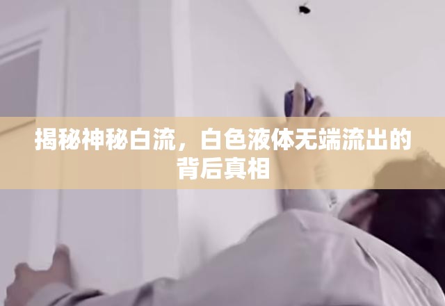揭秘神秘白流，白色液體無端流出的背后真相
