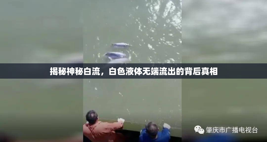 揭秘神秘白流，白色液體無端流出的背后真相
