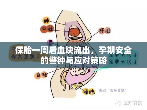 保胎一周后血塊流出，孕期安全的警鐘與應(yīng)對策略