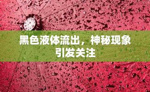 黑色液體流出，神秘現(xiàn)象引發(fā)關(guān)注