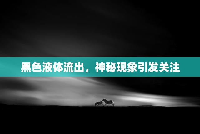 黑色液體流出，神秘現(xiàn)象引發(fā)關(guān)注