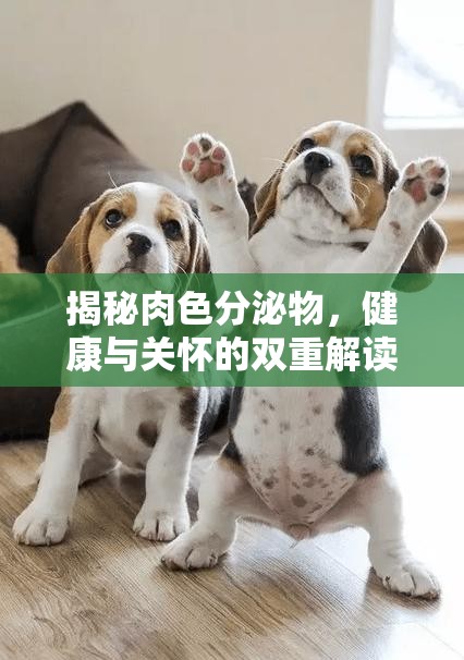揭秘肉色分泌物，健康與關(guān)懷的雙重解讀