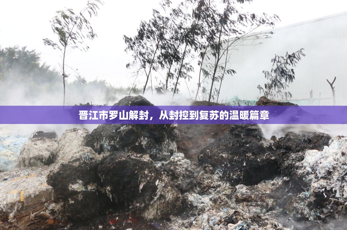 晉江市羅山解封，從封控到復(fù)蘇的溫暖篇章